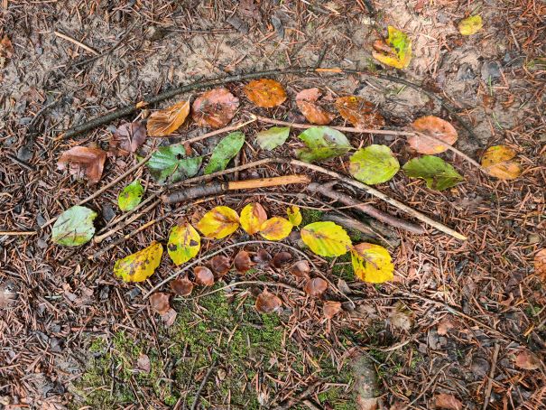 Les couleurs des feuilles