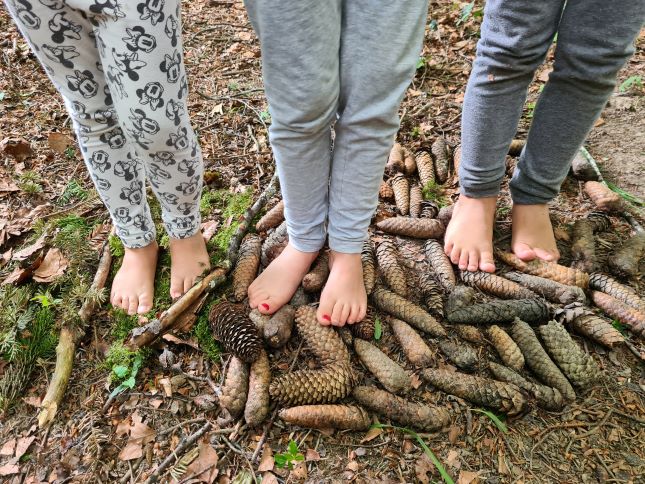 Pieds nus sur la forêt
